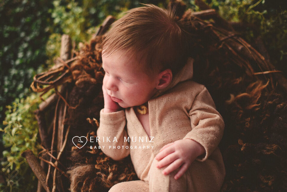 Quando realizar os ensaios de newborn?